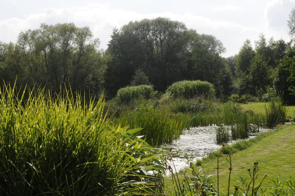 'T Vijverhof Viane Exteriör bild